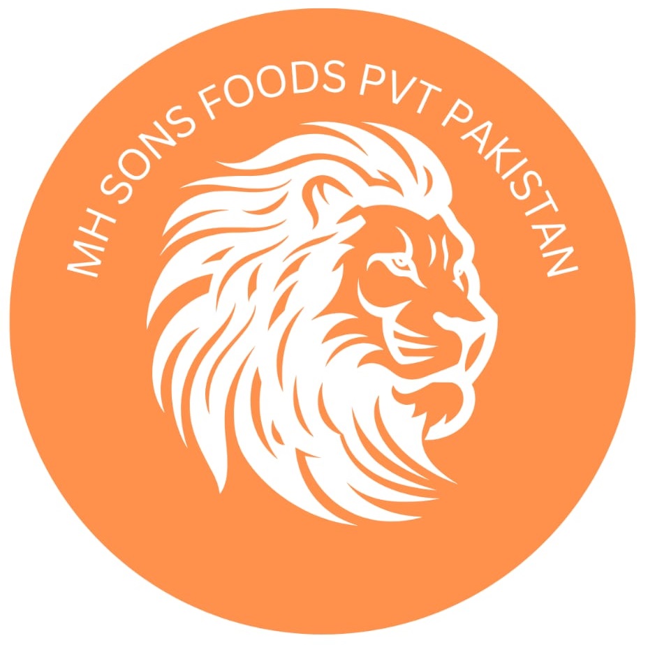 MH Sons Pakistan